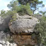 Ca L'engracia * Tarres